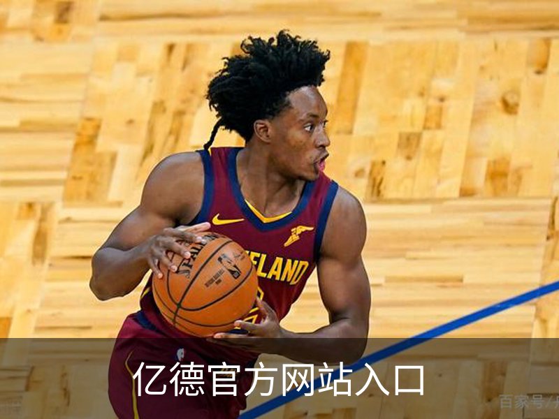 亿德官方网站入口概况